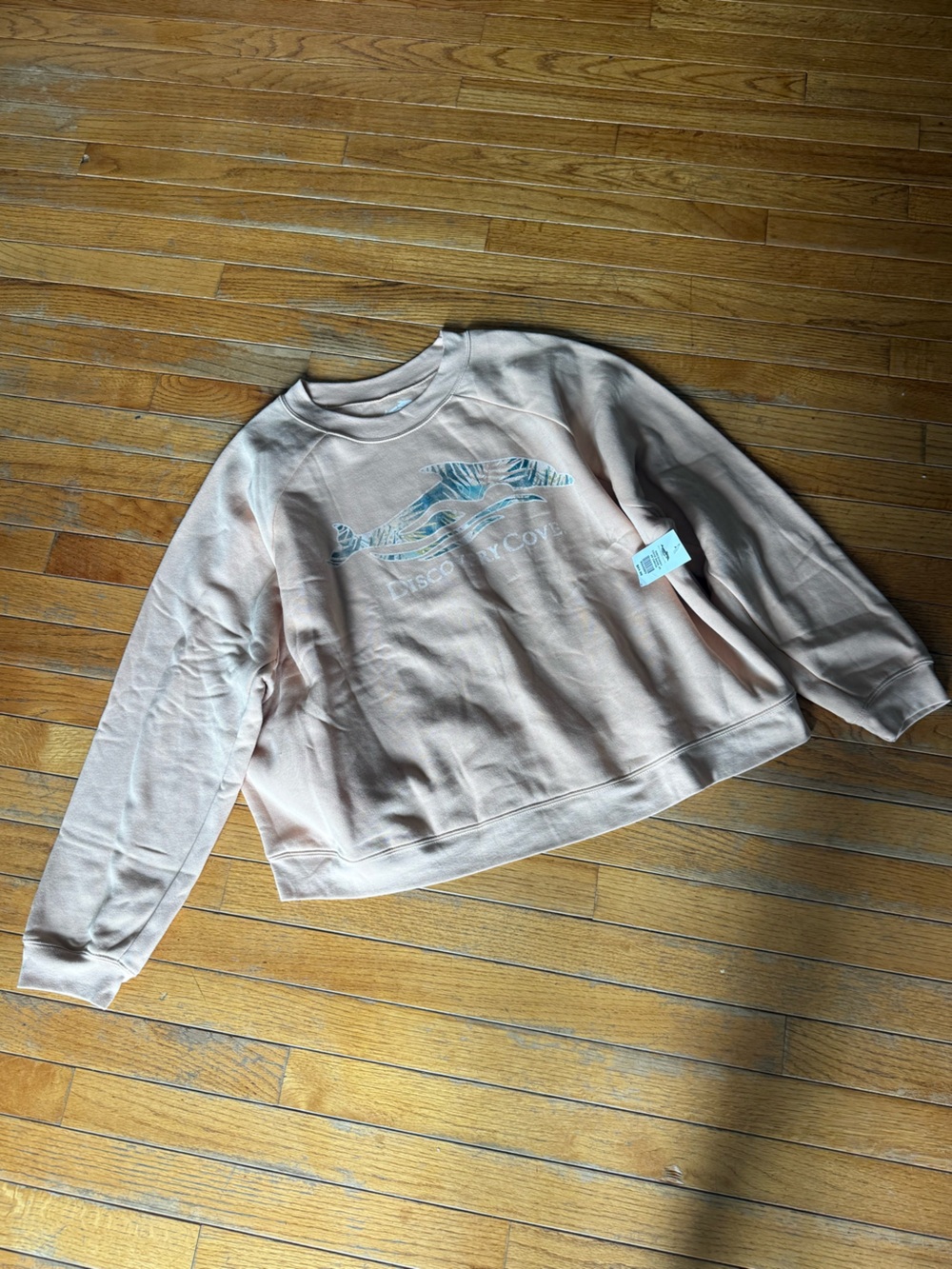 Discovery Men's Dusty Pink Crewneck Sweatshirt with Logo